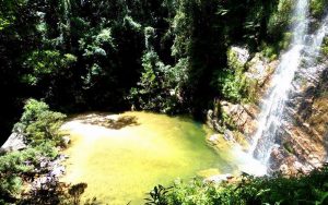 Cachoeira do Ouro - Vale da Gurita